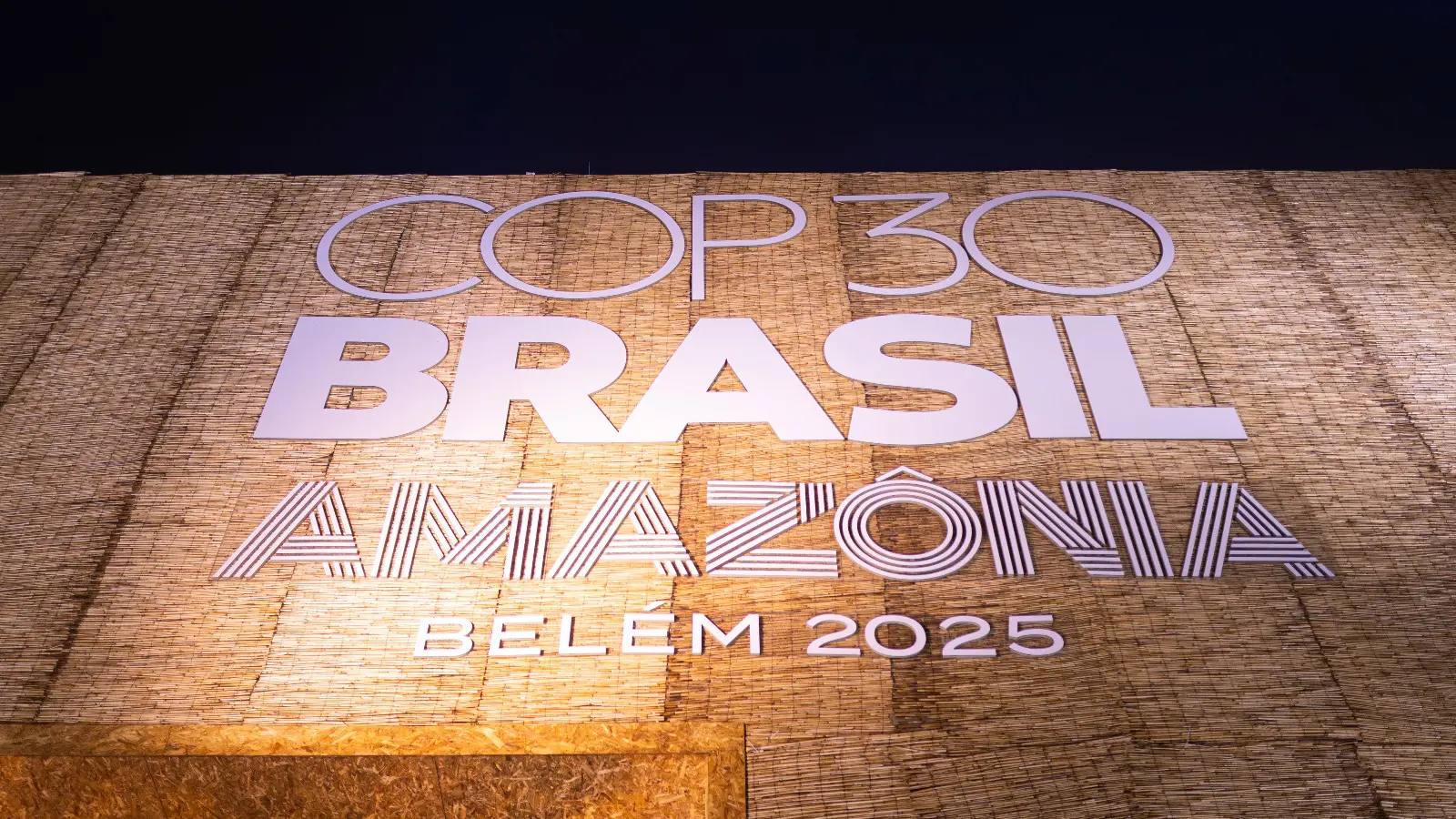 Cop30: Cgil, Italia sostiene biocarburanti e nucleare, ignora transizione energetica