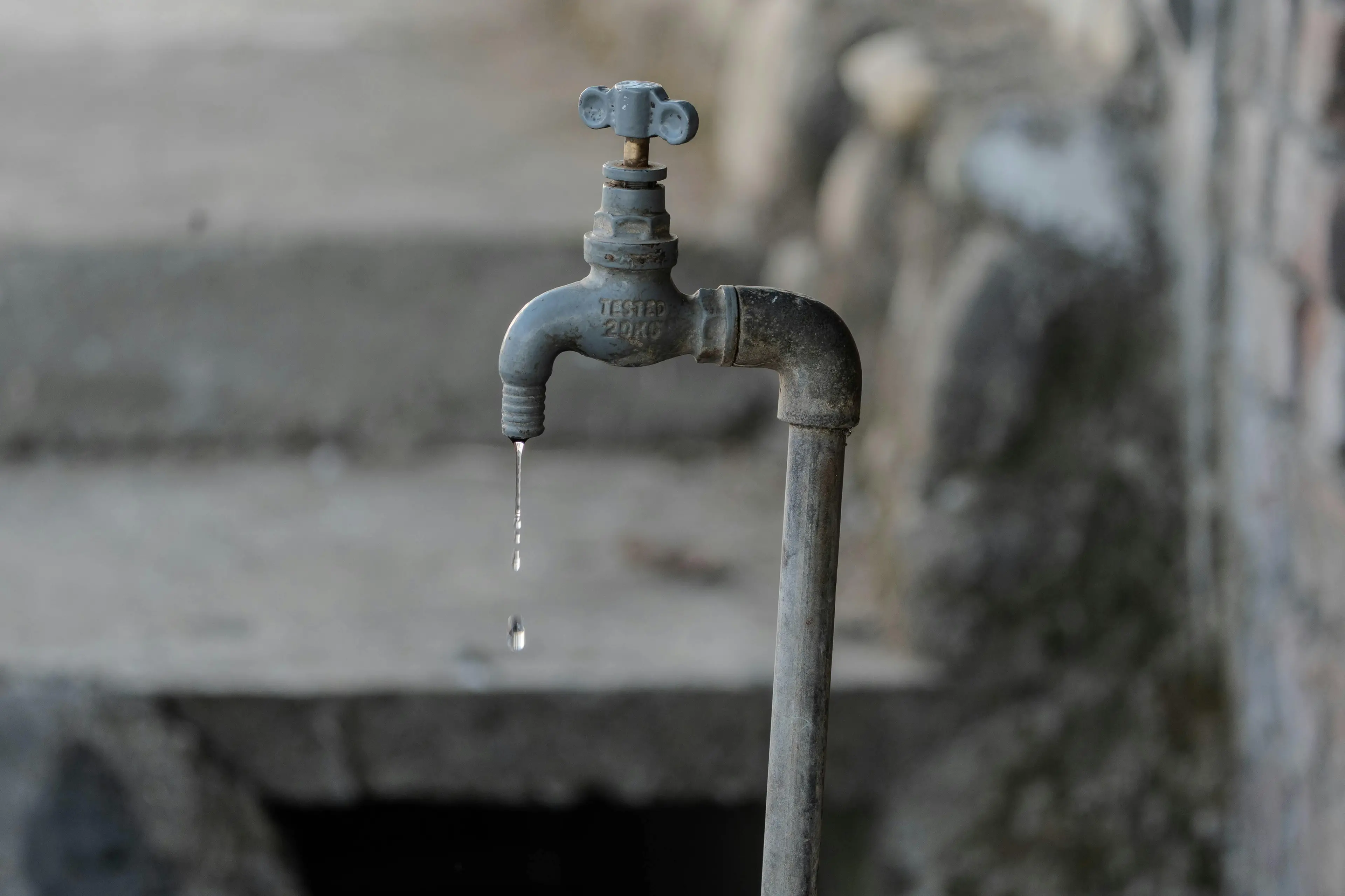 Pexels/Rajesh S  Balouria