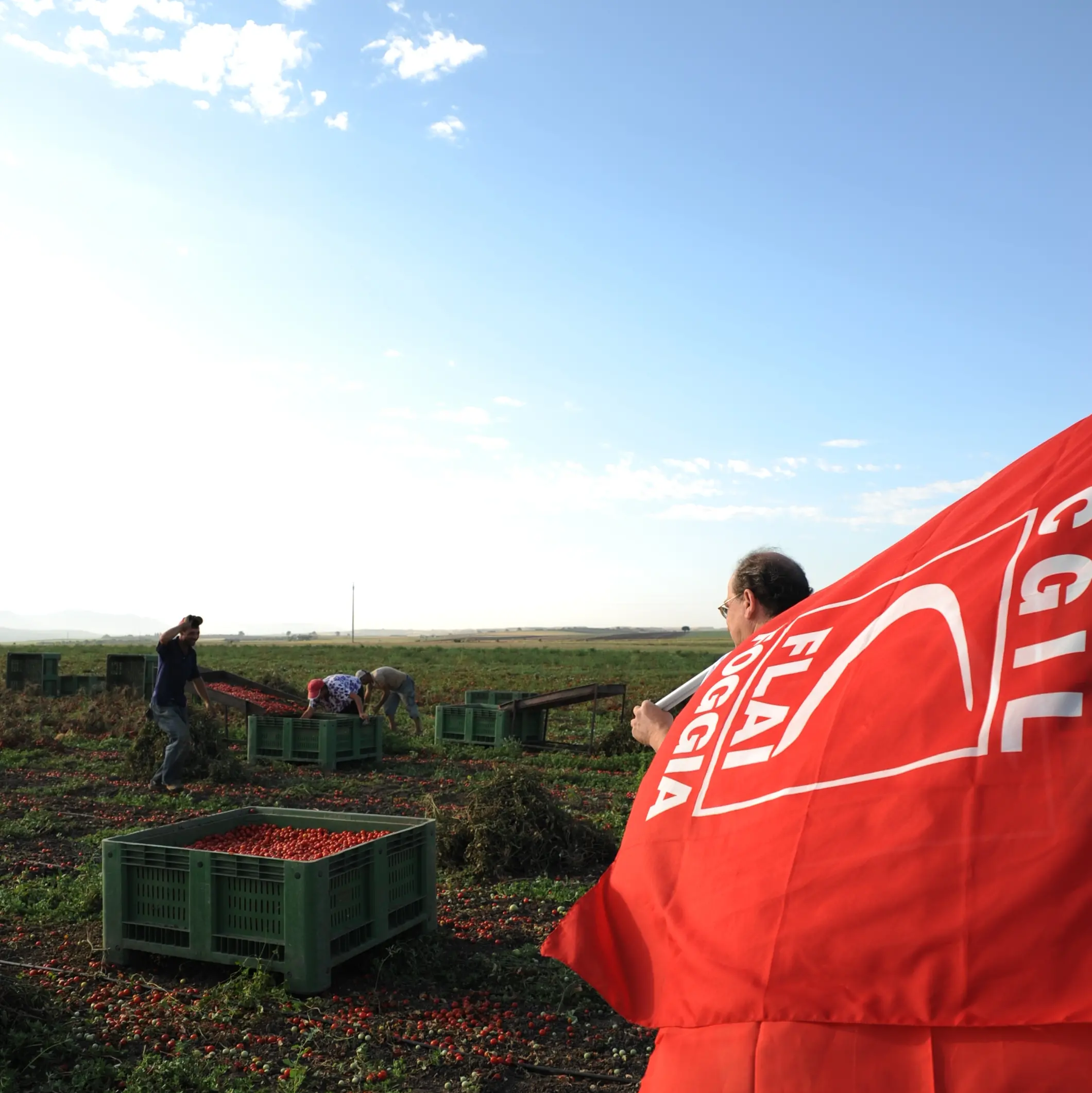 Caporalato: Cgil e Flai, ok del Cnel è passo avanti, ora servono fatti