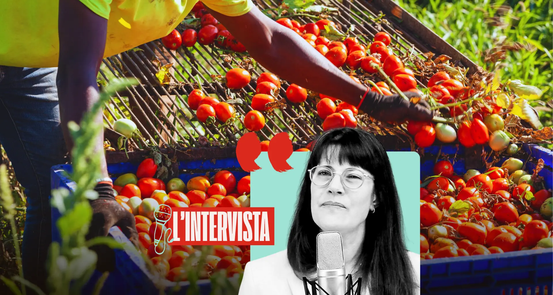 Una class action per liberare gli stagionali dalla schiavitù