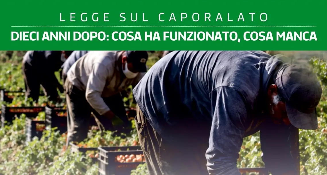 Legge sul caporalato. Dieci anni dopo: cosa ha funzionato, cosa manca