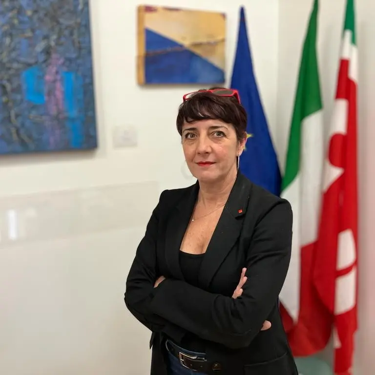 Intervista a Daniela Barbaresi su 'Il diario del lavoro' - \"Sanità Pubblica: dal ministro nessuna risposta, in piazza per la Costituzione\"